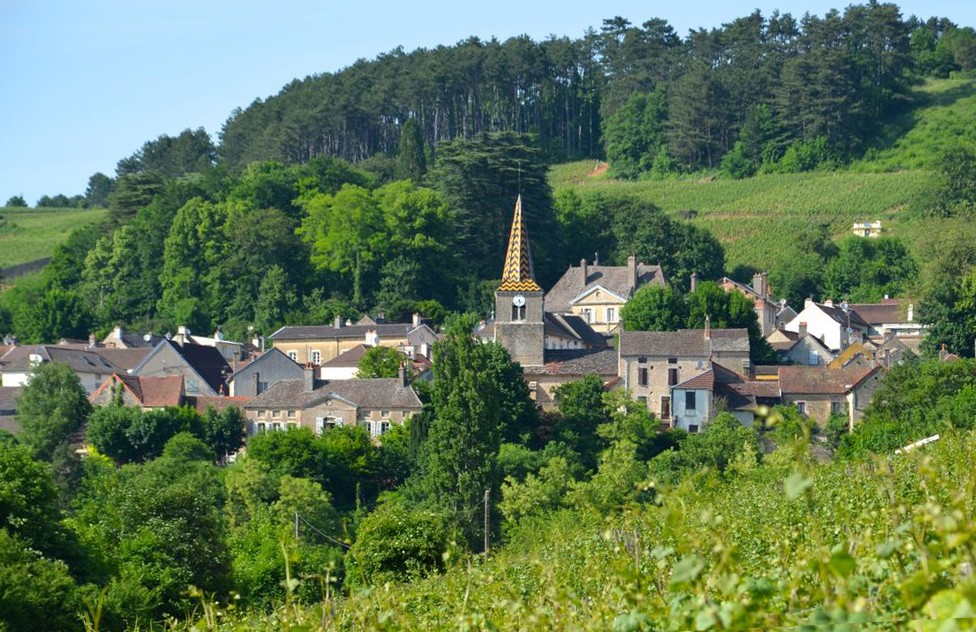 Burgundy Discovery wine tours