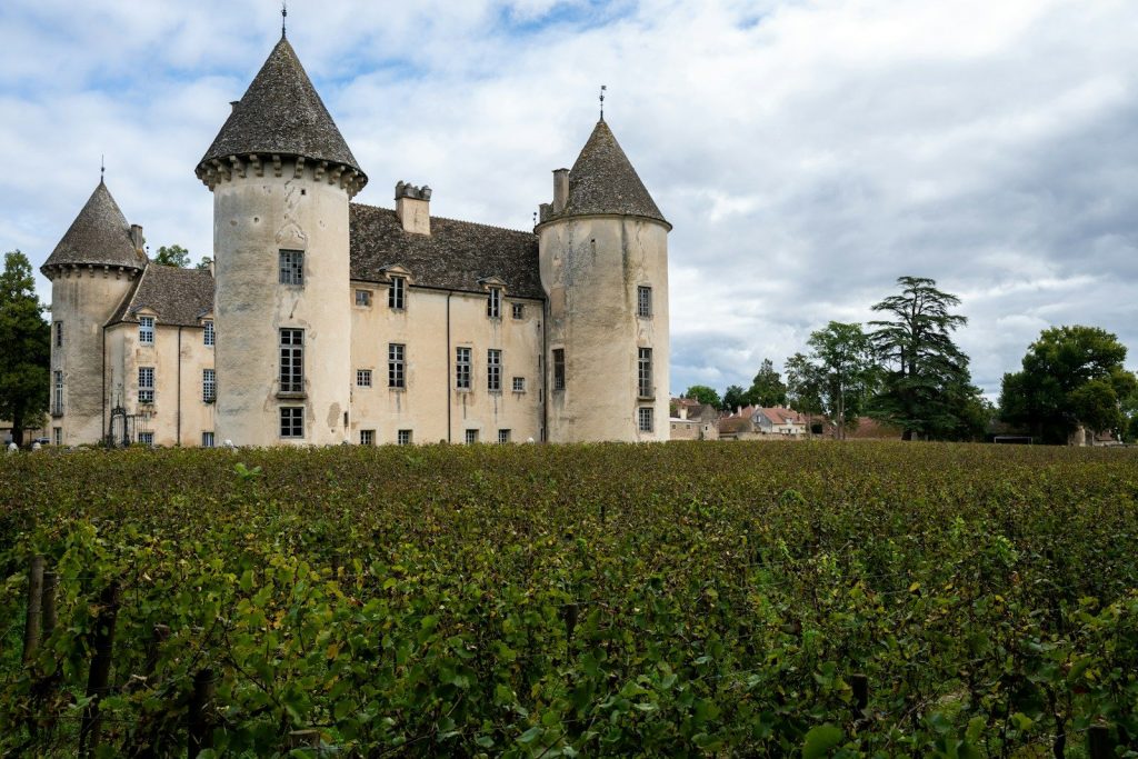 A castle stands behind a vineyard under a cloudy sky.