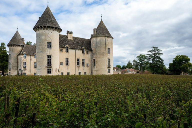 A castle stands behind a vineyard under a cloudy sky.